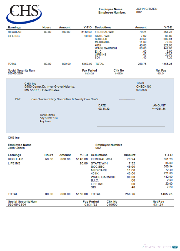 Download USA CHS Inc. agricultural company Photoshop template